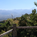 Thumbnail of post image 199