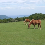 Thumbnail of post image 129